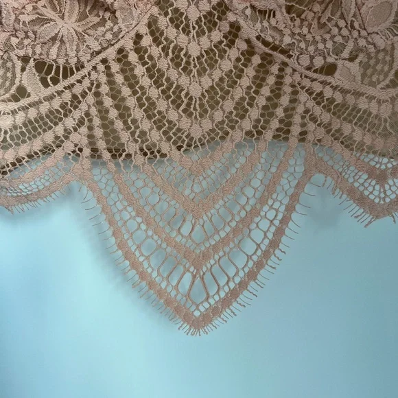 For Love and Lemons Lace Bralette - Blush Pink - Picture 4 of 11